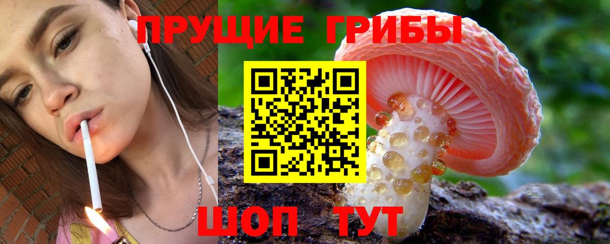 Псилоцибиновые грибы мицелий  Вход с VPN  Североуральск  Псилоцибиновые грибы Cubensis 